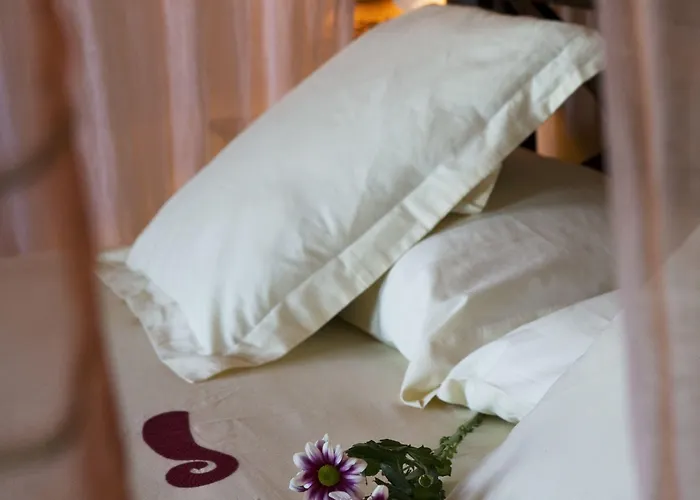 拉达塔乡村酒店